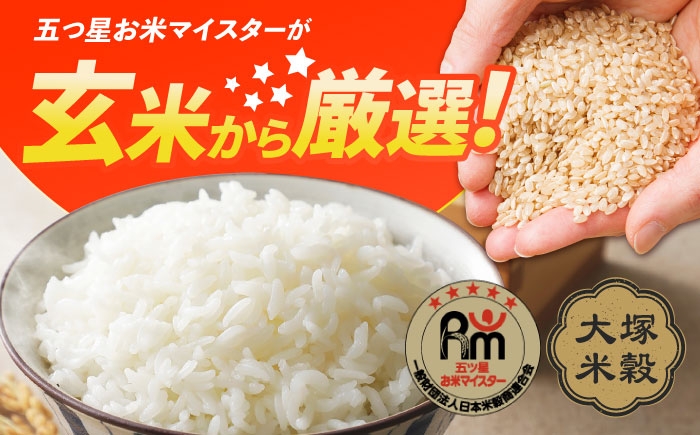 特A獲得！さがびより 無洗米 3kg | ごはん 米 お米 白米 こめ