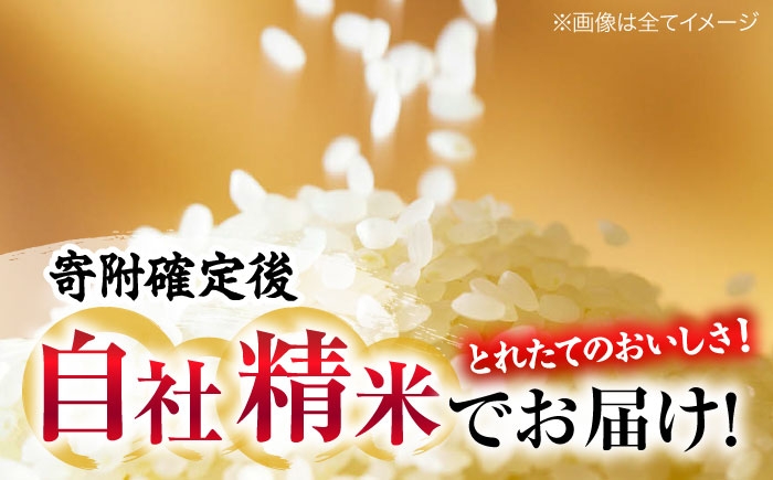 お米 盆地そだち こしひかり 2kg 令和7年産 小分け 米 精米 白米 新米