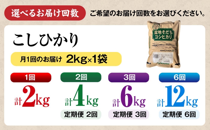 お米 盆地そだち こしひかり 2kg 令和7年産 小分け 米 精米 白米 新米