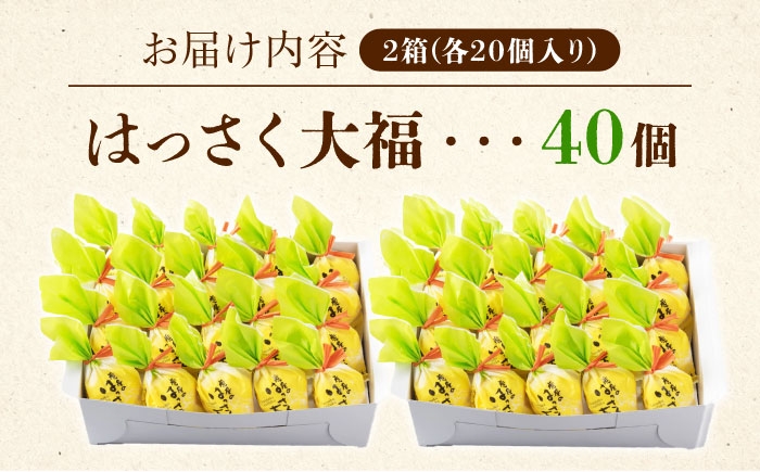 お菓子 はっさく大福