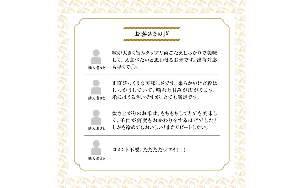 【令和7年産】 ななつぼし （白米） 5kg×1袋