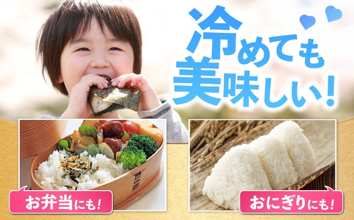 さがびより ご飯 ごはん 米 お米 おこめ 弁当 お弁当 銘柄米 お米 白米