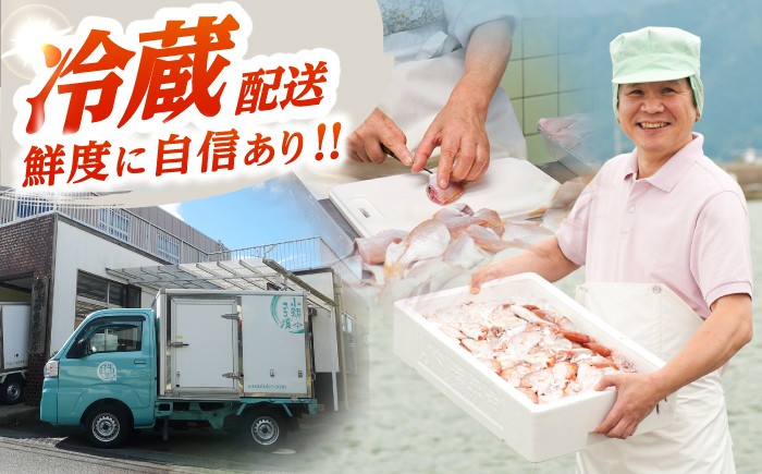 小鯛ささ漬 のどぐろ さより あじ 食べ比べ 笹漬け 上杉商店