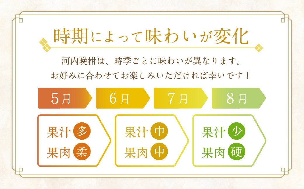 贈答用 河内晩柑 10kg
