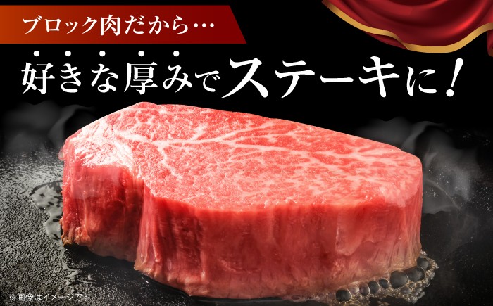 牛肉 ヒレ ブロック ステーキ 希少部位 フィレ A5 黒毛和牛 佐賀 ヒレ肉 佐賀牛 フィレ肉 300g 塊肉
