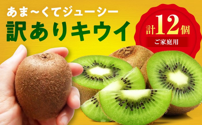 訳アリ 訳あり 家庭用 キウイ キウイフルーツ グリーンキウイ  キュウイ ふるさと納税 ヘイワード 果物  ギフト フルーツ