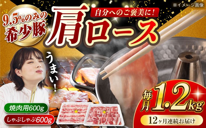 肉 豚 ぶた ブタ ロース 焼肉 焼き肉 しゃぶしゃぶ 小分け 西海市 長崎 九州 定期便