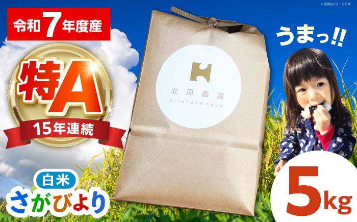  さがびより 白米 5kg 特A米 特A評価 特別栽培米 特別栽培農産物 米 お米 特A 特A評価 佐賀 佐賀県産