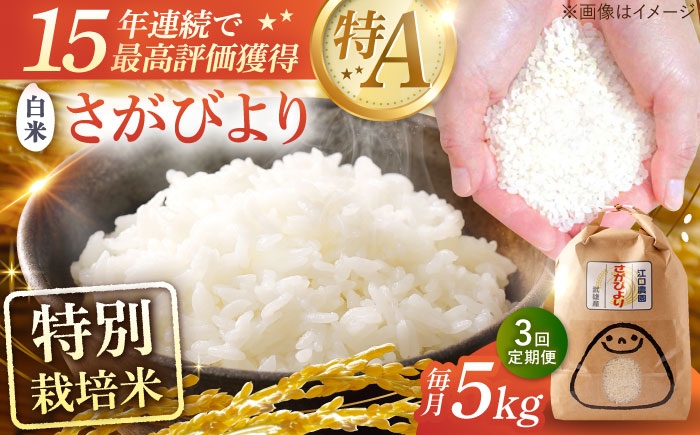 【3回定期便】令和7年産 さがびより 白米 5kg＜15年連続特A評価＞ 配送前精米/江口農園[UBF