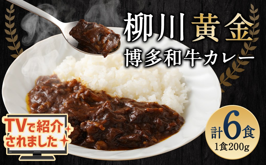 柳川黄金博多和牛カレー 6食分（200g）×6箱【TVで話題!!】