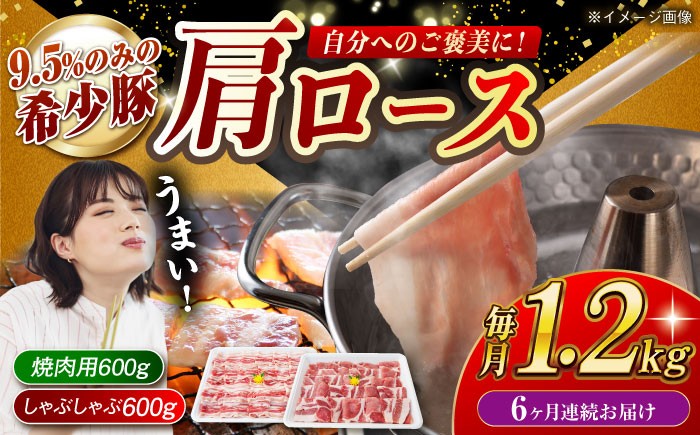 肉 豚 ぶた ブタ ロース 焼肉 焼き肉 しゃぶしゃぶ 小分け 西海市 長崎 九州 定期便