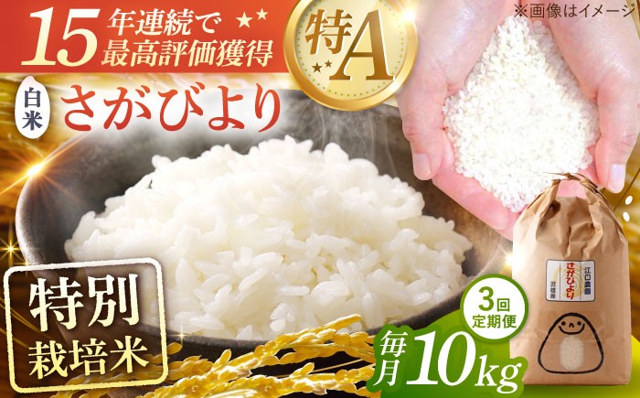 【3回定期便】さがびより 白米 10kg＜15年連続特A評価＞ 配送前精米/江口農園[UB