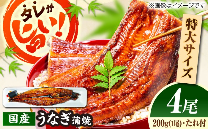 うなぎ タレ ウナギ 鰻 蒲焼 国産 美味しい 食材 お土産  おすすめ 人気 