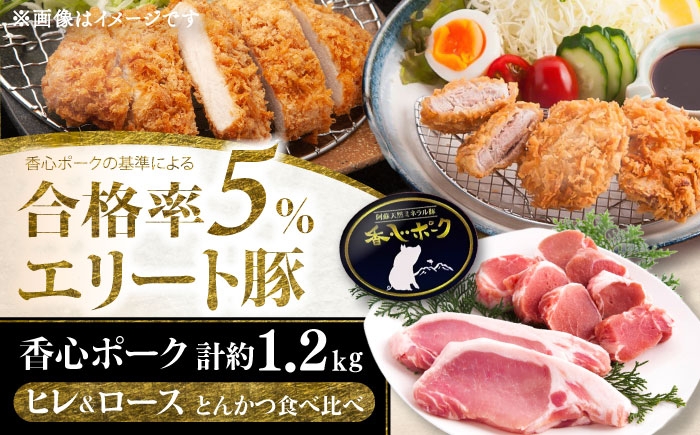 豚肉 ぶたにく ぶた肉 ブタ肉 ブタ ポーク 冷凍 ブランド ブランド豚 菊陽 熊本