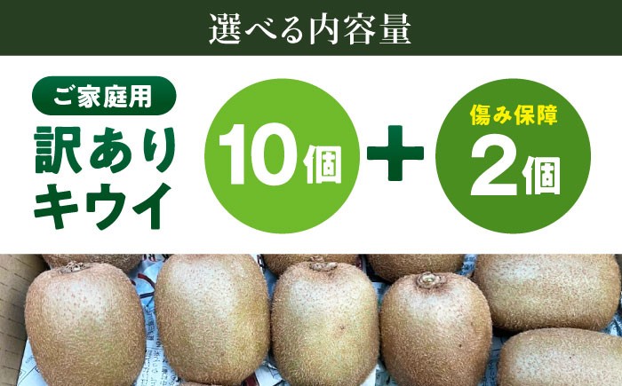 訳アリ 訳あり 家庭用 キウイ キウイフルーツ グリーンキウイ  キュウイ ふるさと納税 ヘイワード 果物  ギフト フルーツ