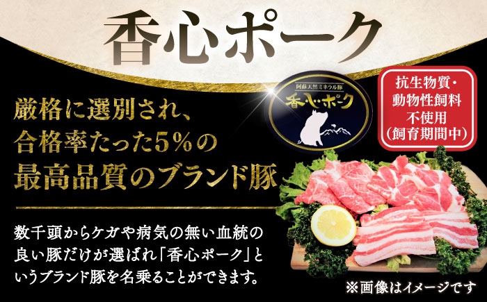 豚肉 ぶたにく ぶた肉 ブタ肉 ブタ ポーク 冷凍 ブランド ブランド豚 菊陽 熊本