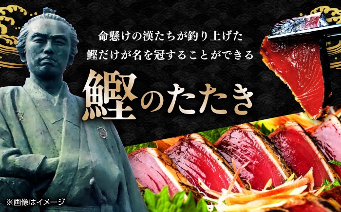 一本釣り龍馬鰹たたき　約2.3kg ポン酢付き /高知 本格 藁焼き カツオ 鰹 かつおたたき 瞬間冷凍 厳選【株式会社　七和】