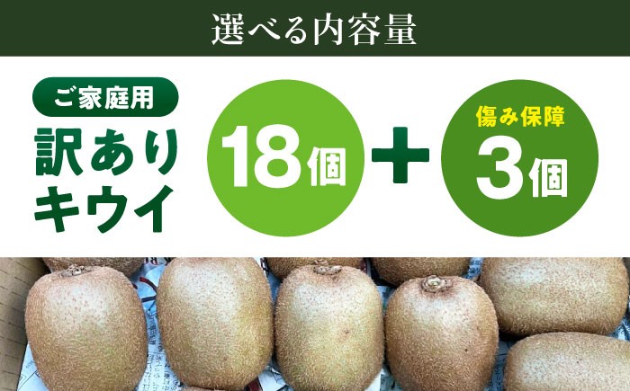 訳アリ 訳あり 家庭用 キウイ キウイフルーツ グリーンキウイ キュウイ ふるさと納税 ヘイワード 果物 ギフト フルーツ
