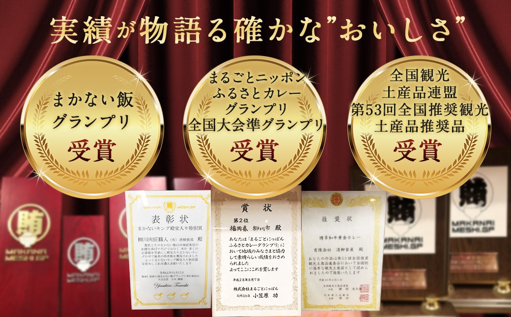 柳川黄金博多和牛カレー 8食分（200g）×8箱【TVで話題!!】