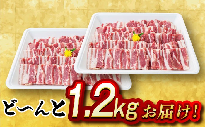 肉 豚 ぶた ブタ ロース 焼肉 焼き肉 小分け 西海市 長崎 九州 定期便