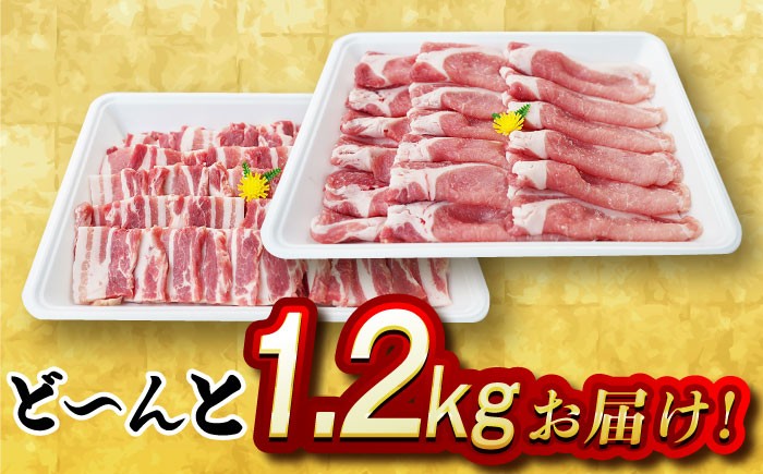 肉 豚 ぶた ブタ ロース 焼肉 焼き肉 しゃぶしゃぶ 小分け 西海市 長崎 九州 定期便