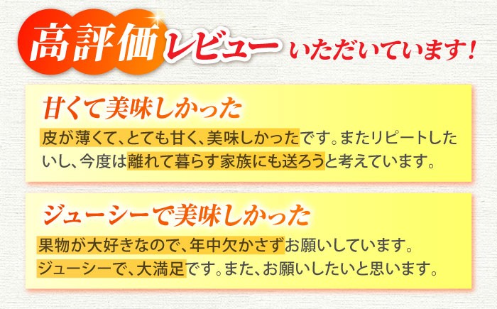 せとか みかん 約2.5kg 果物 化粧箱入り フルーツ ミカン 蜜柑 柑橘 かんきつ くだもの 旬 ギフト