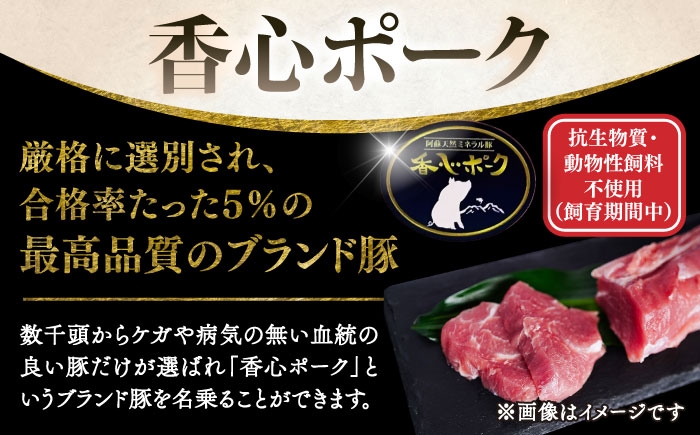 豚肉 ぶたにく ぶた肉 ブタ肉 ブタ ポーク 冷凍 ブランド ブランド豚 菊陽 熊本