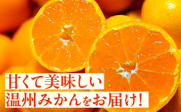 みかん 訳アリ 果物 ミカン 熊本県 九州 国産 フルーツ 旬  柑橘 お取り寄せ 甘い 限定 温州 送料無料