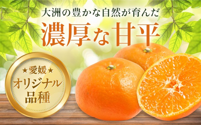 柑橘 みかん 甘平 かんぺい カンペイ オレンジ フルーツ ミカン 果物  愛媛みかん ザート おやつ ワケあり