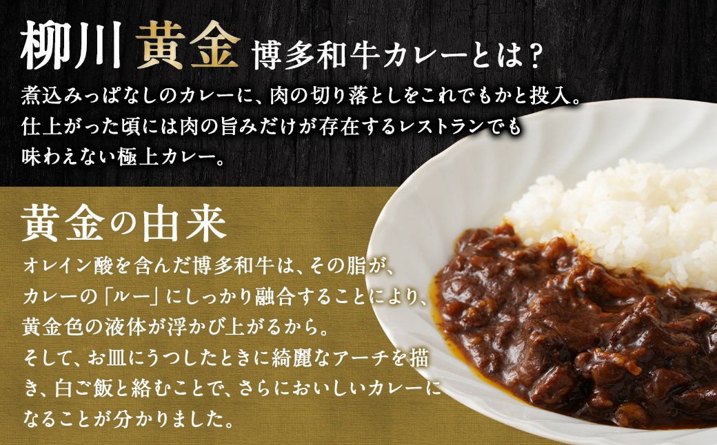 柳川黄金博多和牛カレー 3食分（200g）×3箱【TVで話題!!】