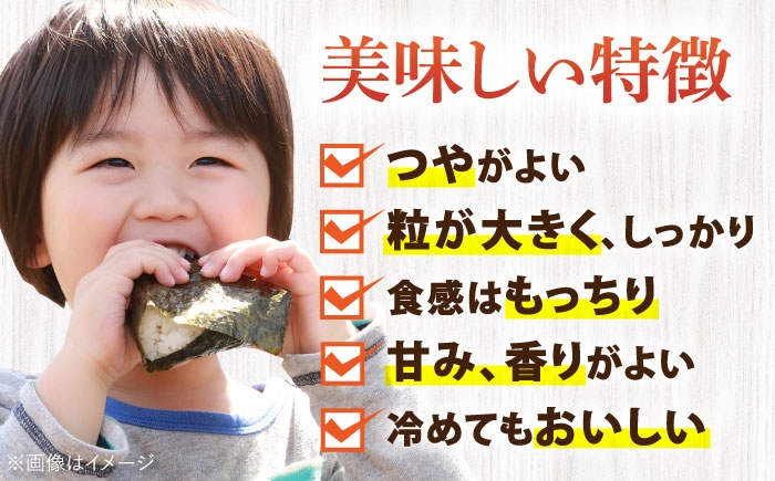 お米 米 おこめ こめ コメ 白米 精米 白ご飯 さがびより 佐賀県産 佐賀県産米