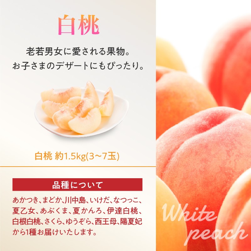 《先行受付》白桃と黄桃詰合せ3kg【2026年8月頃より順次発送予定】