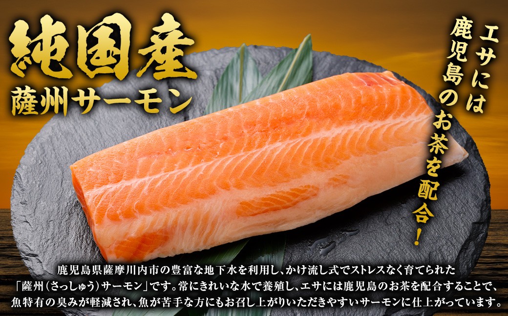 薩州サーモン 500g