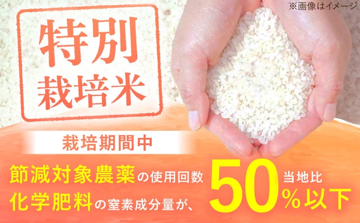 【3回定期便】令和7年産 さがびより 白米 5kg＜15年連続特A評価＞ 配送前精米/江口農園[UBF