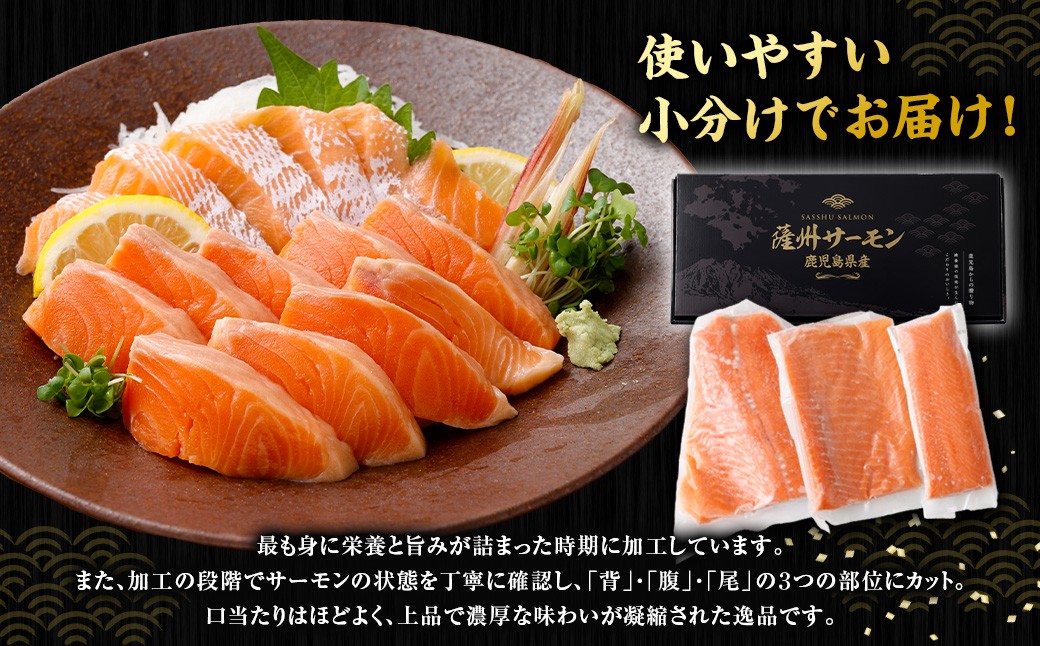 薩州サーモン 500g