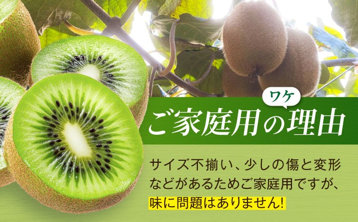訳アリ 訳あり 家庭用 キウイ キウイフルーツ グリーンキウイ キュウイ ふるさと納税 ヘイワード 果物 ギフト フルーツ
