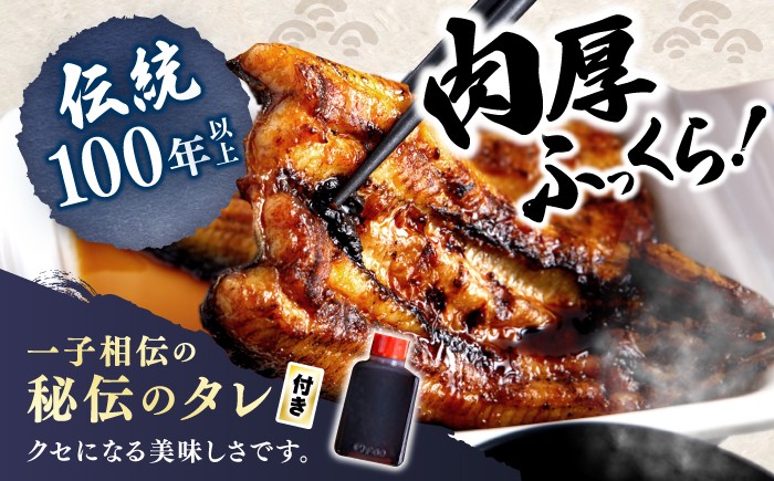 国産 うなぎ 4尾