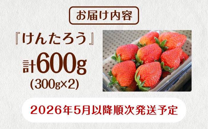 北海道品種の春夏イチゴをお届け！
