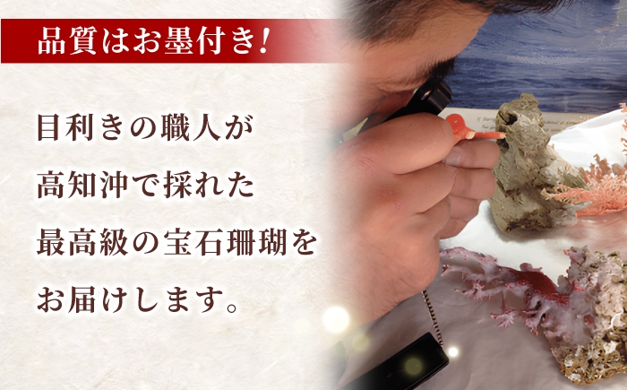 赤珊瑚数珠 【株式会社ケンセン35】 [ATAR001]