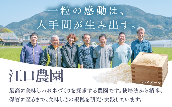 お米 米 おこめ こめ コメ 白米 精米 白ご飯 さがびより 佐賀県産 佐賀県産米