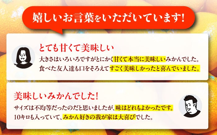 みかん 訳アリ 果物 ミカン 熊本県 九州 国産 フルーツ 旬  柑橘 お取り寄せ 甘い 限定 温州 送料無料