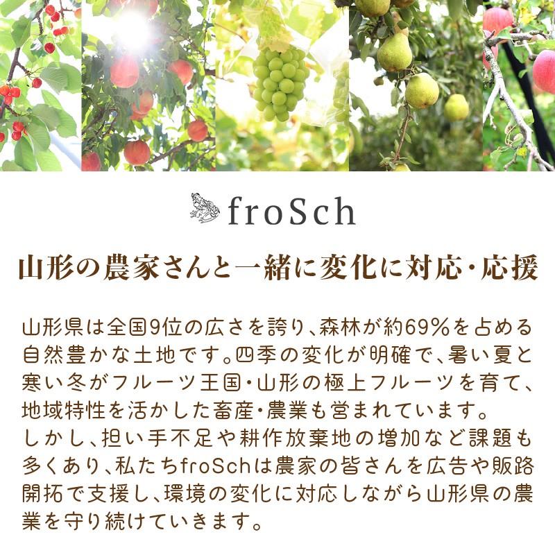 《先行受付》桃とシャインマスカットの詰合せ【2026年9月頃より順次発送予定】