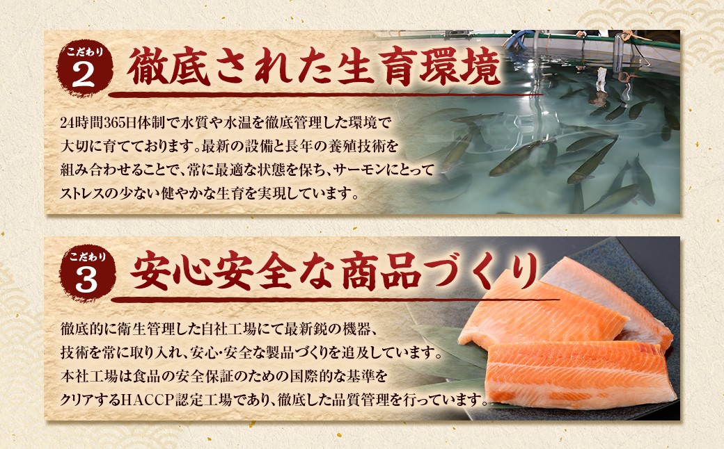 薩州サーモン 500g