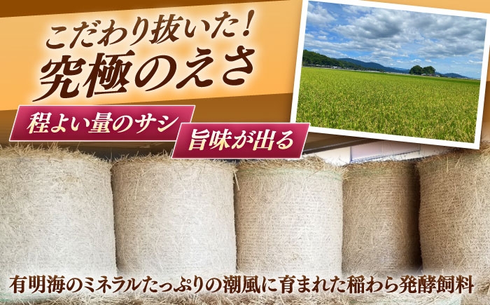 牛肉100％たっぷり使える大容量牛肉ミンチ！