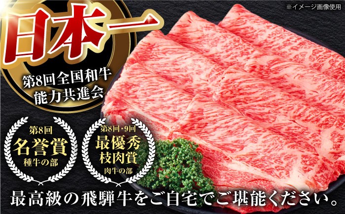 飛騨牛 2種セット ロース サーロイン すきやき すき焼き ステーキ 厳選 A5 大容量 食べ比べ