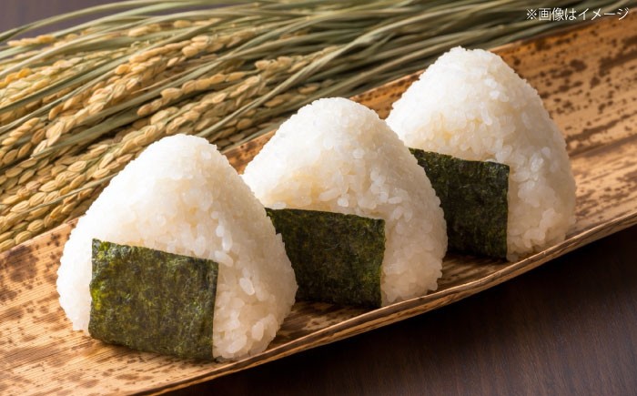 五つ星お米マイスター厳選！松江の名米を味比べ 米 お米 コシヒカリ きぬむすめ