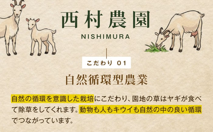 訳アリ 訳あり 家庭用 キウイ キウイフルーツ グリーンキウイ  キュウイ ふるさと納税 ヘイワード 果物  ギフト フルーツ