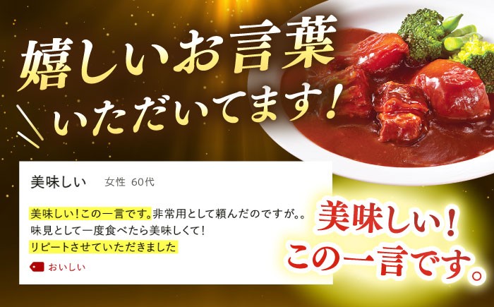 ビーフシチューとビーフカレー 計20食 （各10食）