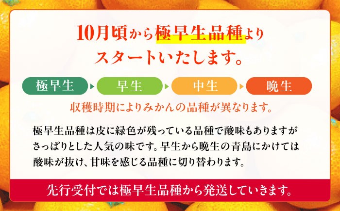 みかん 訳アリ 果物 ミカン 熊本県 九州 国産 フルーツ 旬 柑橘 お取り寄せ 甘い 限定 温州 送料無料