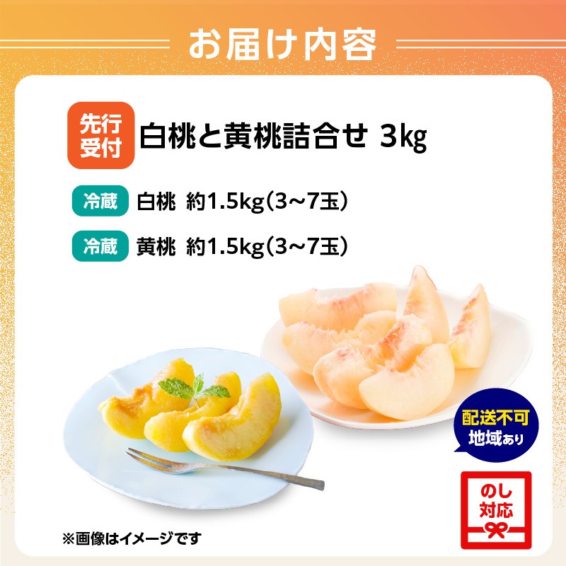 《先行受付》白桃と黄桃詰合せ3kg【2026年8月頃より順次発送予定】